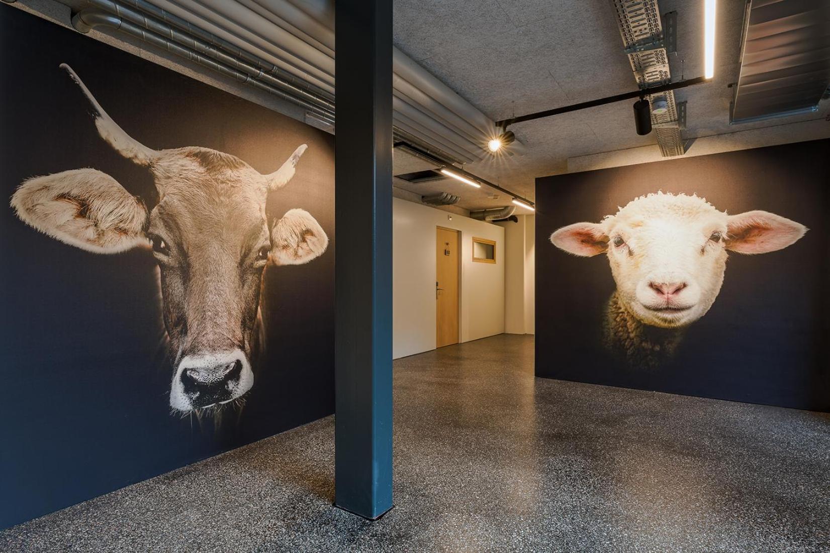 Gasthaus Hof Appenzell Exteriér fotografie